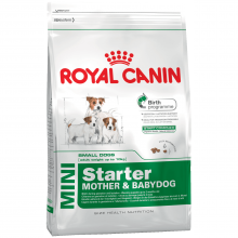 ROYAL CANIN Starter Mini Puppy корм д/щенков мелких пород до 2х месяцев 1 кг