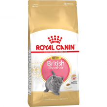 ROYAL CANIN Kitten Британская короткошерстная 2 кг 